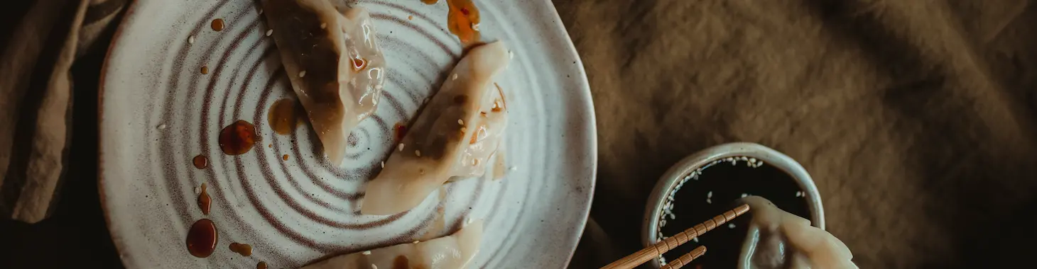 flavorful dumplings dipped in vinegar